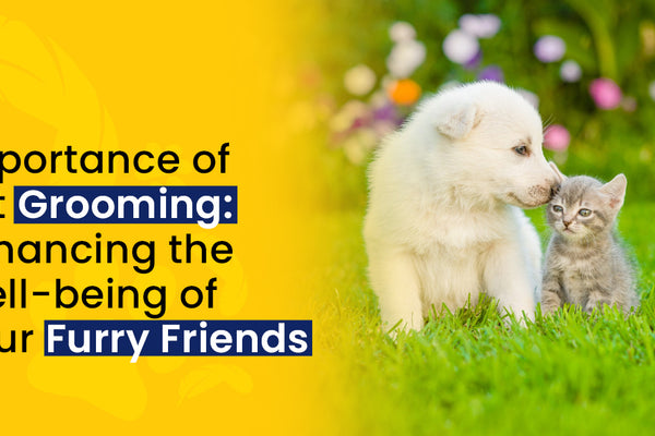 Importance of Pet Grooming: Enhancing the Well-being of Your Furry Friends