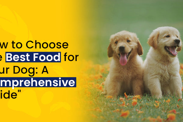 How to Choose the Best Food for Your Dog: A Comprehensive Guide