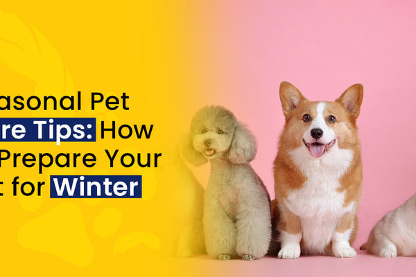 Seasonal Pet Care Tips: How to Prepare Your Pet for Winter