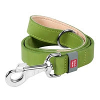 Waudog Flat Leather Clip Leash 25MM GREEN 122CM