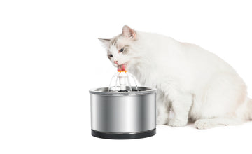 YES4PETS Automatic Electric Pet Water Fountain Dog Cat Stainless Steel Feeder Bowl Dispenser